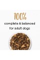 Purina Beneful Adult Dry Dog Food 