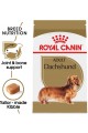 Royal Canin Dry Dog Food, Dachshund Formula, 10-Pound 