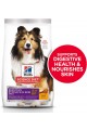 Hill's Science Diet Dry Dog Food, Adult, Sensitive Stomach & Skin, M/L Breeds, Chicken Recipe (15 lbs.)