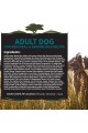Blackwood Dog Food Everyday Diet Made in USA [Natural Dry Dog Food for All Breeds and Sizes]