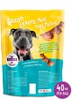 Purina Beggin' Strips Dog Training Treats (Bacon & Peanut Butter Flavor)