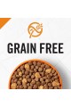 Purina Pro Plan SAVOR Grain-Free Shredded Blend Adult Dry Dog Food