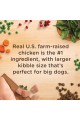 Rachael Ray Nutrish Large Breed Natural Premium Dry Dog Food