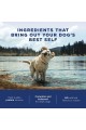 Natural Balance Synergy Ultra Premium Dog Food (26 pounds)