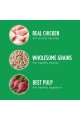 IAMS PROACTIVE HEALTH Minichunks Dry Dog Food, Chicken Flavor