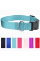 Pet Collars - Basic Collars For Dogs and Cats, Adjustable Sizes and Colors, Premium Nylon
