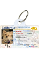 Pet Driver License 