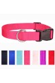 Pet Collars - Basic Collars For Dogs and Cats, Adjustable Sizes and Colors, Premium Nylon