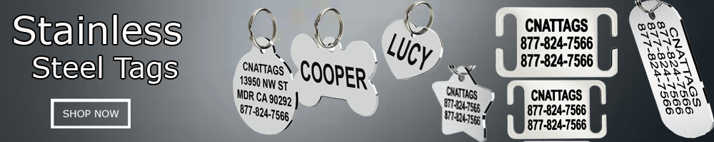Stainless Steel Dog Tags — Maine Gift Guide